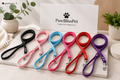 Laisse Pro PawBliss rembourrée et réfléchissante pour chien de toutes tailles