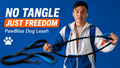 Laisse Double Chien PawBliss | Promenade 2 Chiens Mains Libres