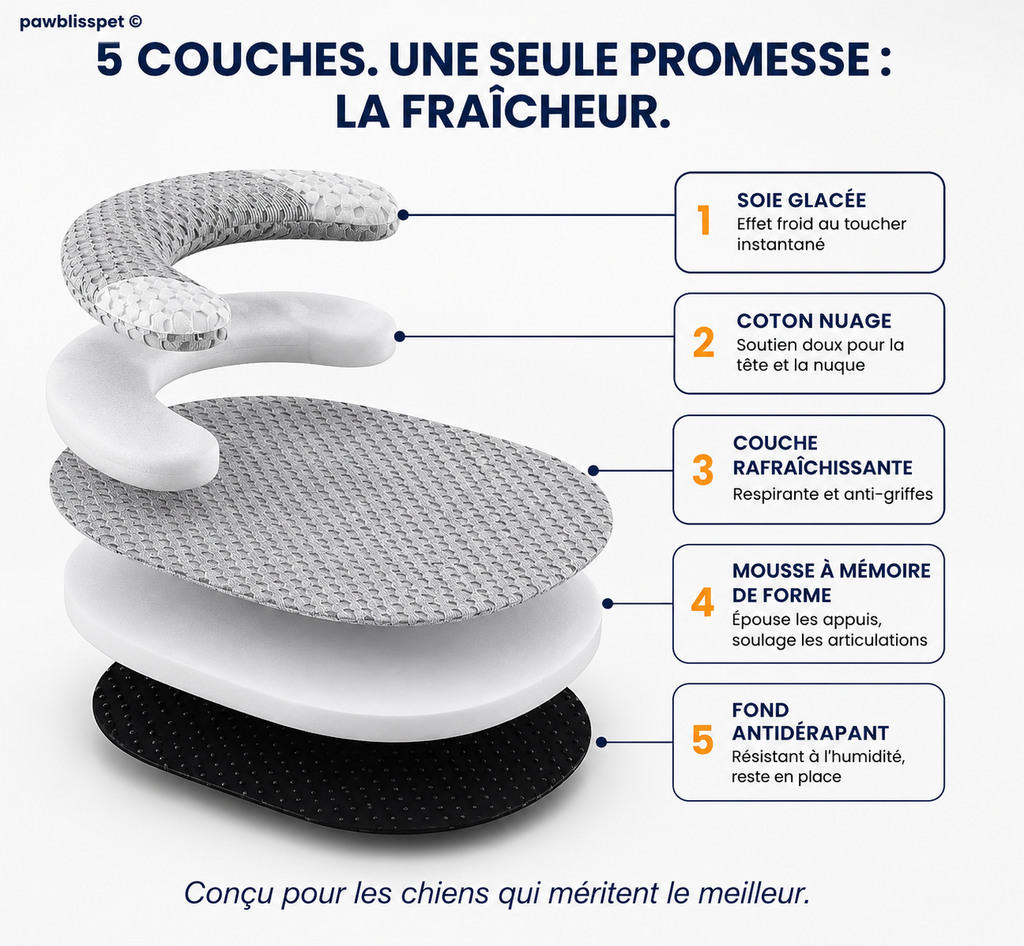 Lit Orthopédique Cooling Memory Foam pour Chien | PawBliss®