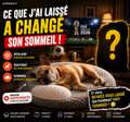 Lit Orthopédique Cooling Memory Foam pour Chien | PawBliss®