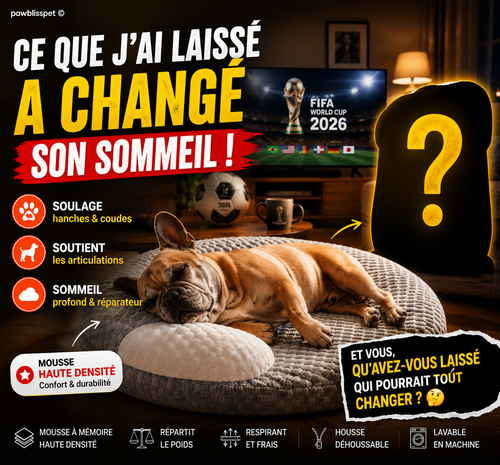 Lit orthopédique rafraîchissant PawBliss pour chien (vue 2)