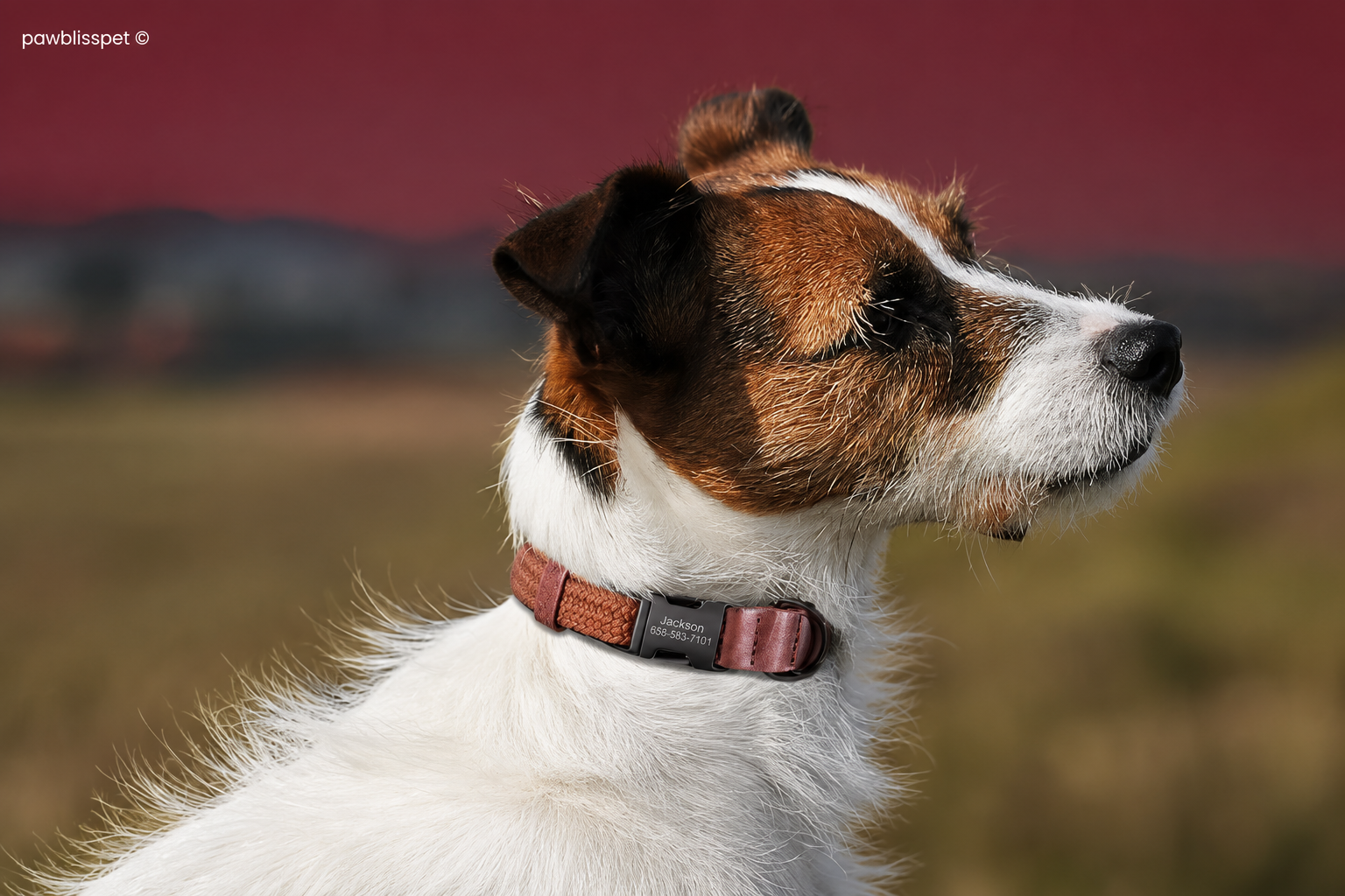 Collier tissé PawBliss détail du tissage (vue 8)