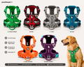 Harnais anti-traction PawBliss motif floral confort pour chien