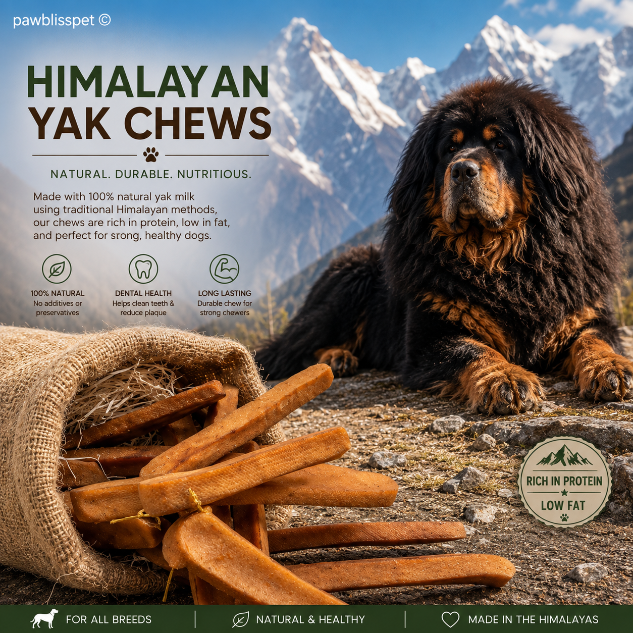 Chien allongé sur une montagne enneigée avec un sac en toile et des friandises PawBliss au lait de yak himalayen