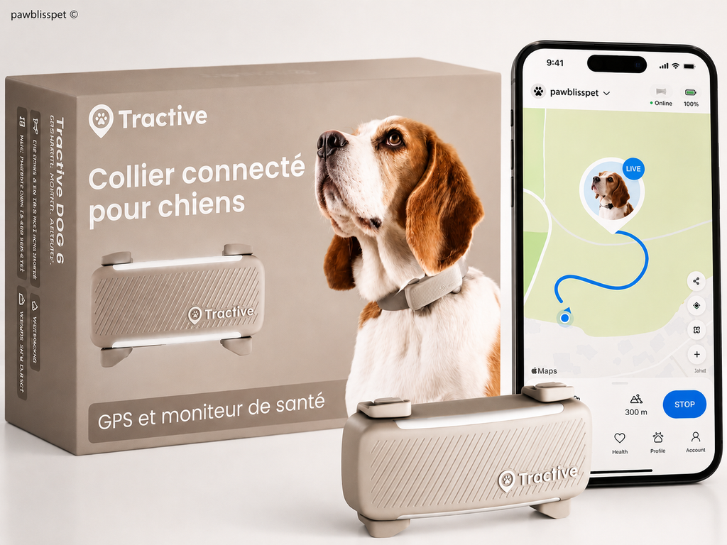Traceur GPS PawGuard™ – Localisation Temps Réel Chien & Chat | PawBliss