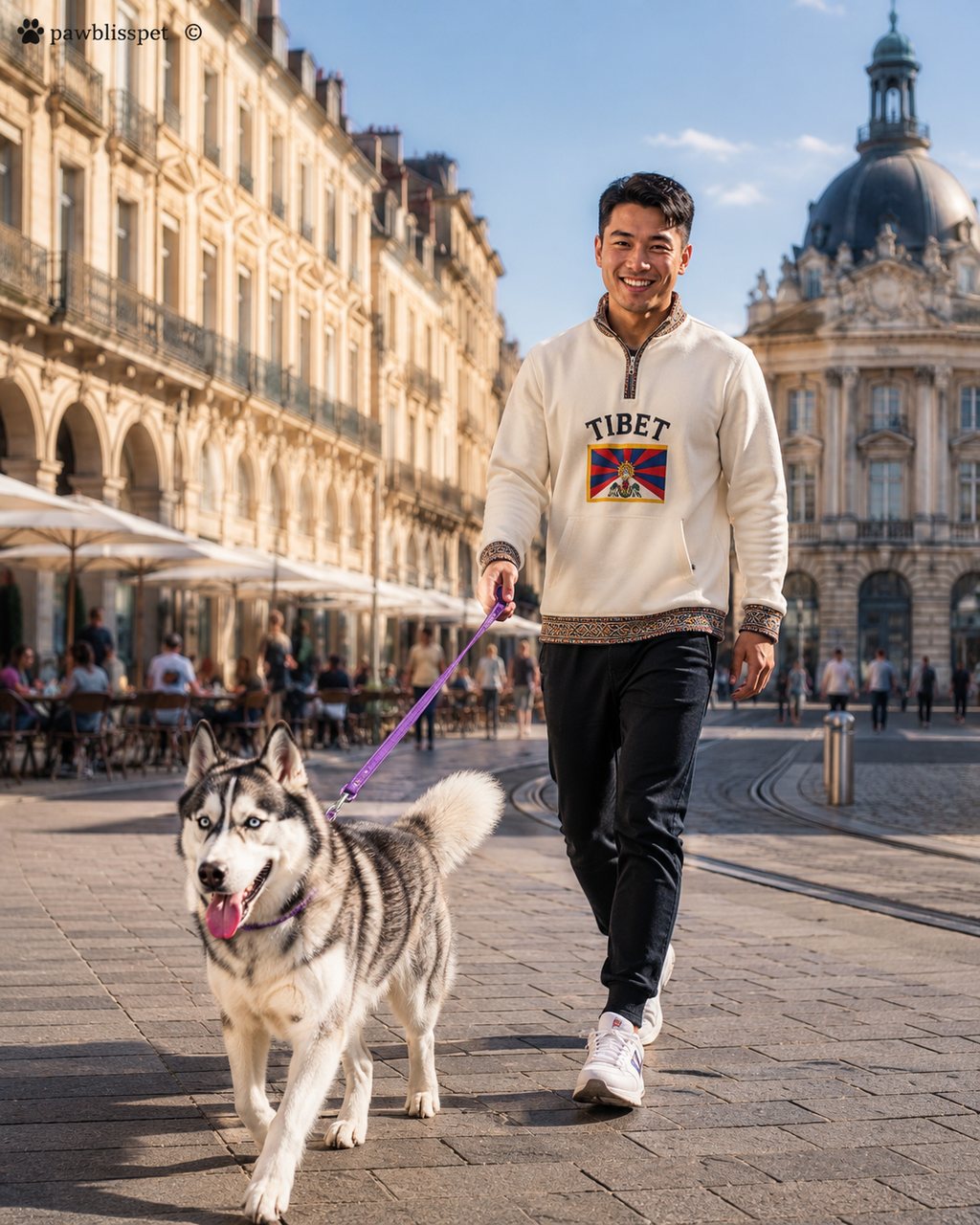 Laisse PawBliss® Pro – Confort, Contrôle & Sécurité | Chien Toutes Tailles