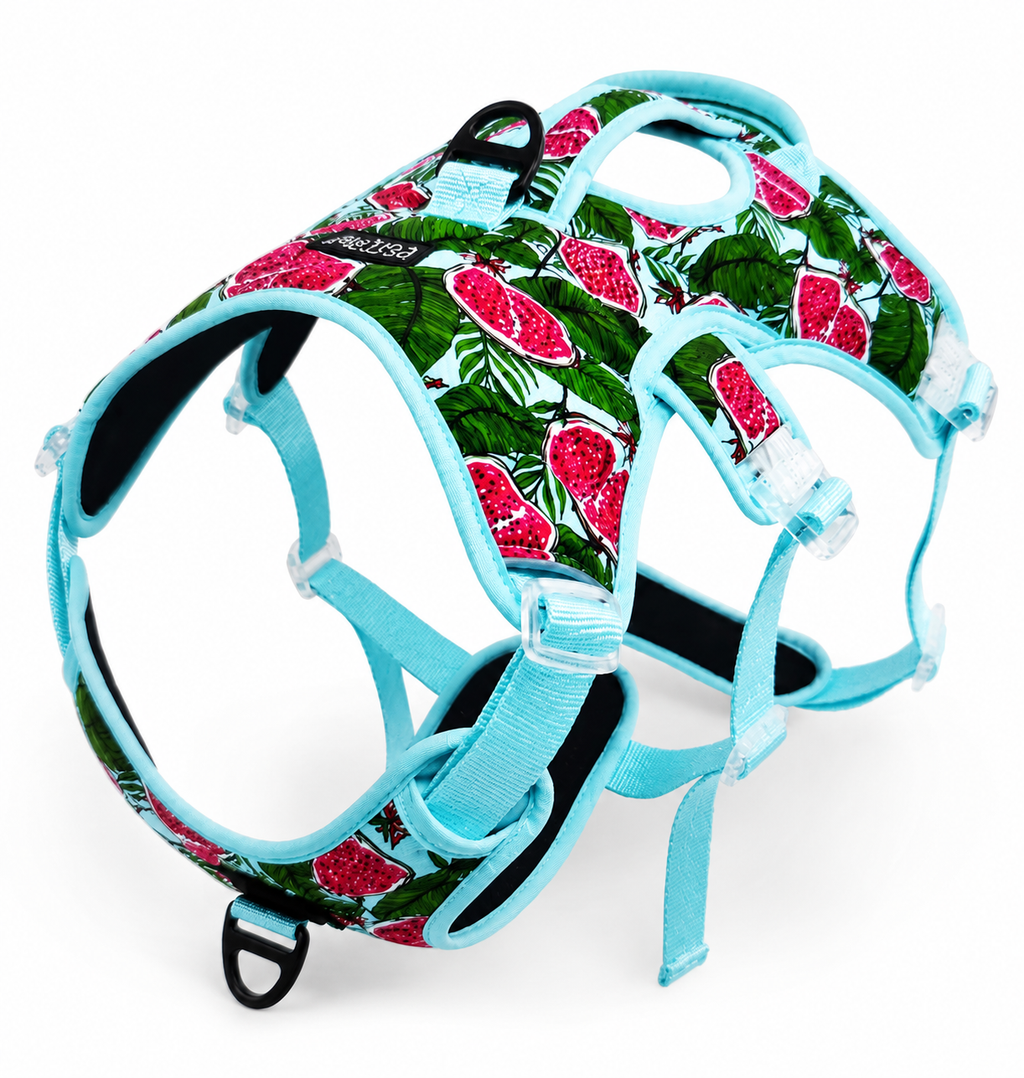 PawBliss™ No-Pull Dog Harness | Adjustable S–XL, Comfort & Control