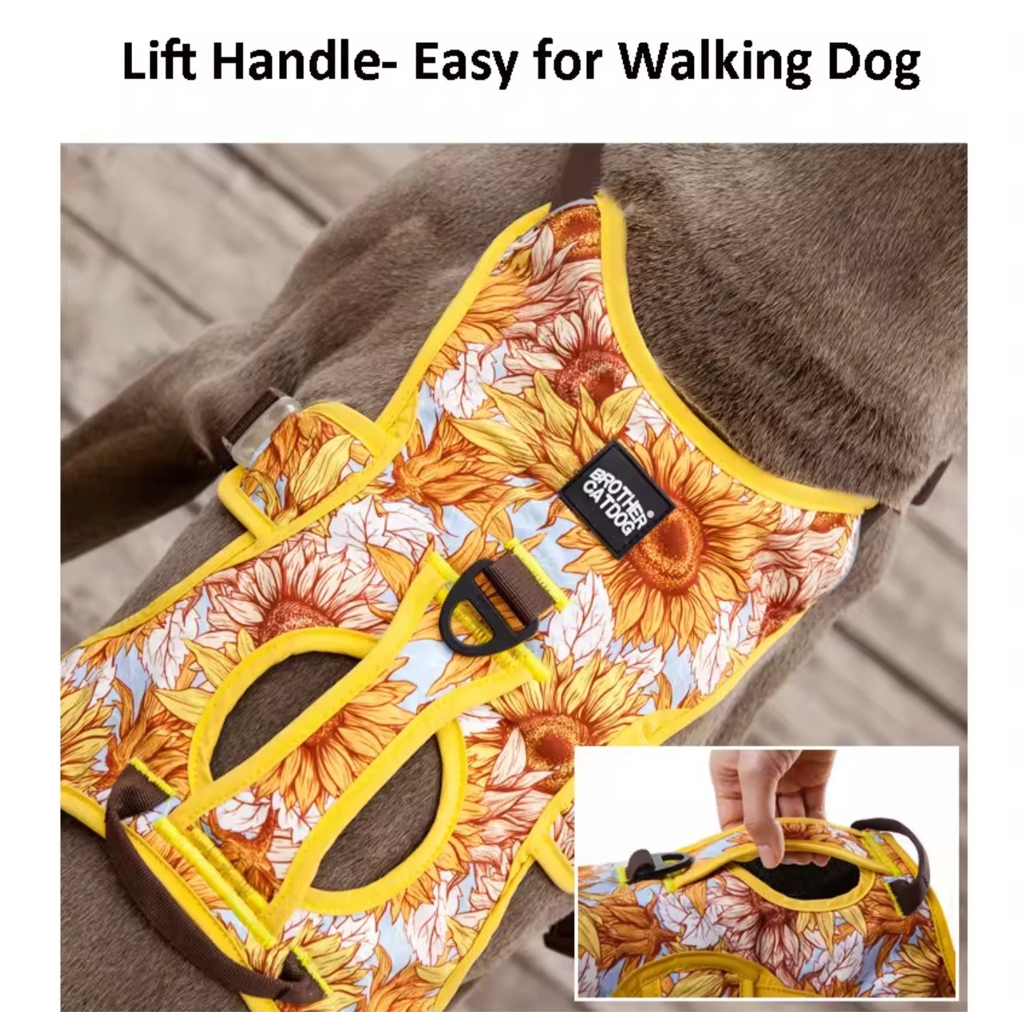 Harnais Anti-Traction PawBliss – Ajustable & Sécurisé