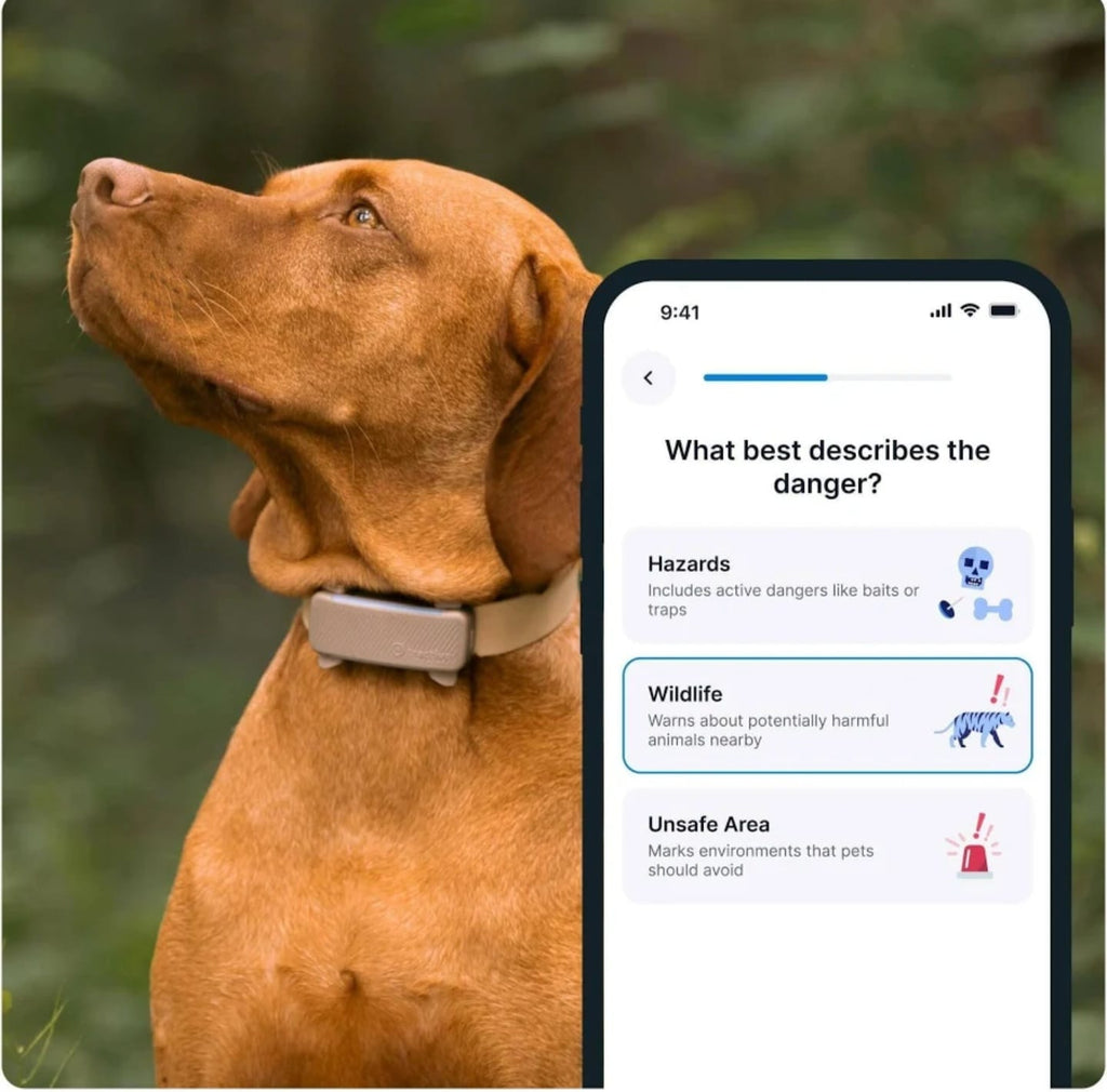 PawGuard™ GPS Pet Tracker – Real-Time Location for Dogs & Cats